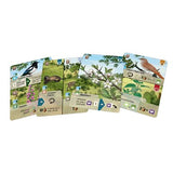 Forest Shuffle Woodland Edge Expansion