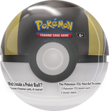 Pokemon Pokeball Tin Winter 2024