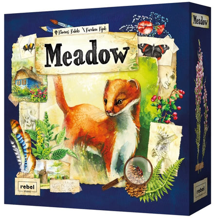 Meadow - Collector's Avenue