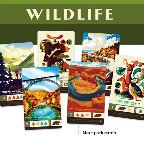 Parks Wildlife Expansion - Collector's Avenue